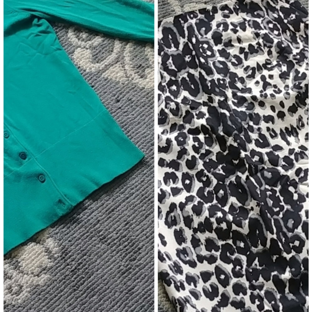 NWT MASSIMO LEOPARD PRINT SKIRT 4/Jacob Sweater small